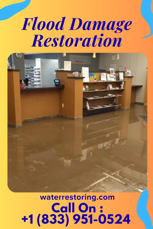 Flood Damage Restoration in New Haven, MI