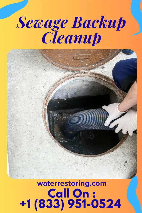 Sewage Backup Cleanup in New Haven, MI