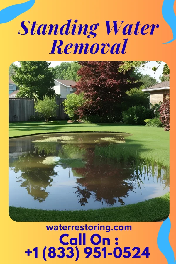 Standing Water Removal in New Haven, MI